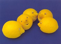 le citron, fruit vedette...