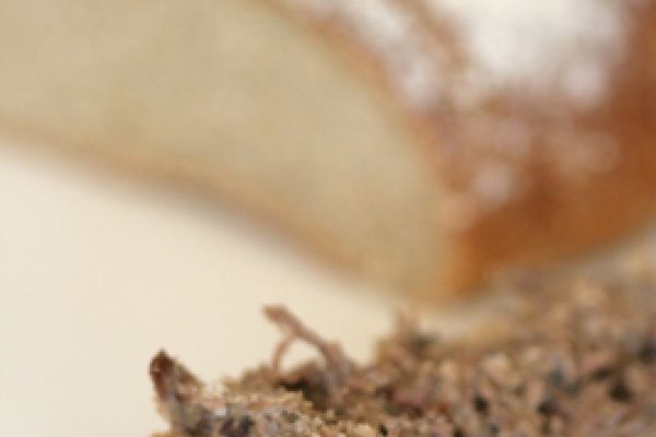 Rillettes de canard