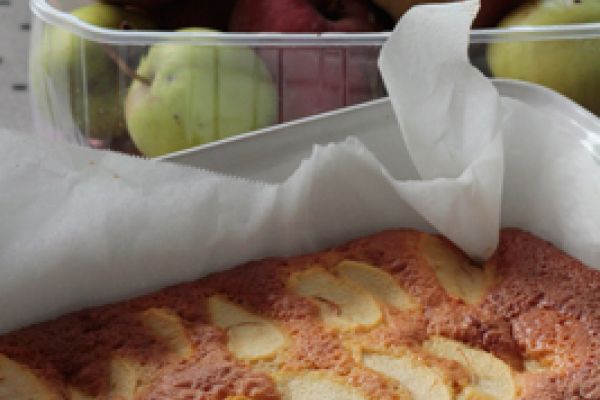 Gâteau 4x9 aux pommes