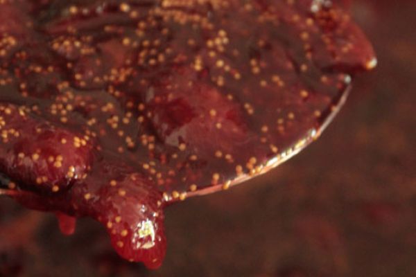 Confiture de fraises et figues