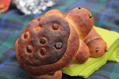 Pain tortue au froment, levain bio et noisettes d'Athalie