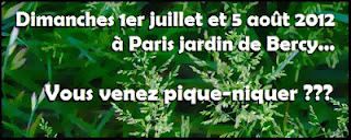 Pique-nique de blogueurs à Paris Bercy juillet 2012
